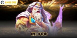 Hall of Gods - Distinct Slot Mechanics Explained Clearly